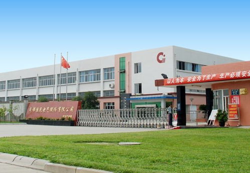 國光電氣ipo后首份年報出爐 核心競爭力護(hù)航收利持續(xù)雙增