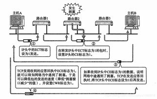 計(jì)算機(jī)網(wǎng)絡(luò)中的IP相關(guān)技術(shù)與開發(fā)實(shí)踐